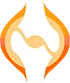 hondro sol logo