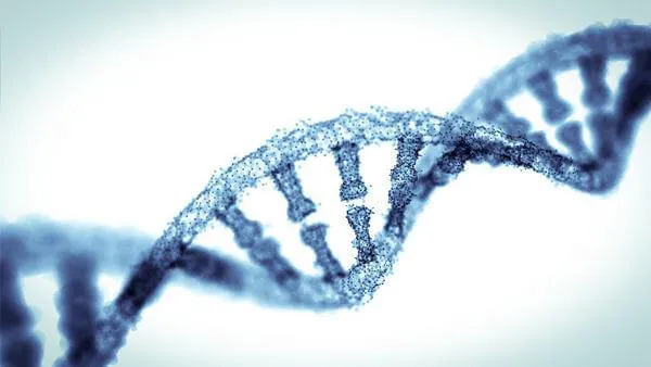 immagine di un DNA